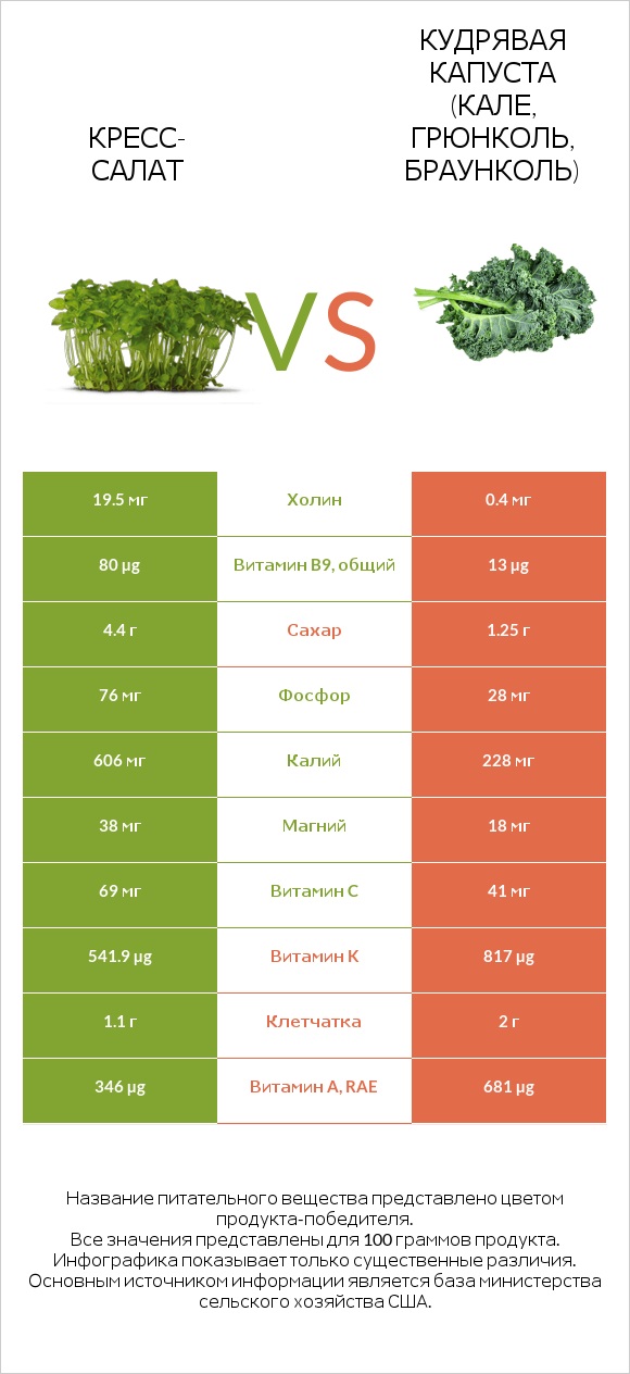 Кресс-салат vs Кудрявая капуста (кале, грюнколь, браунколь) infographic