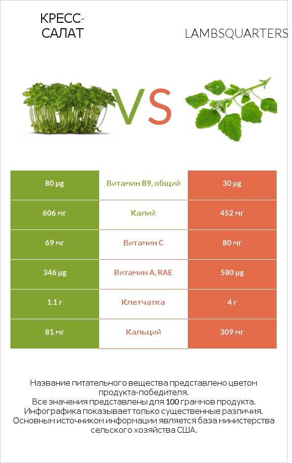 Кресс-салат vs Марь белая (Марь обыкновенная) или Листья мари белой infographic