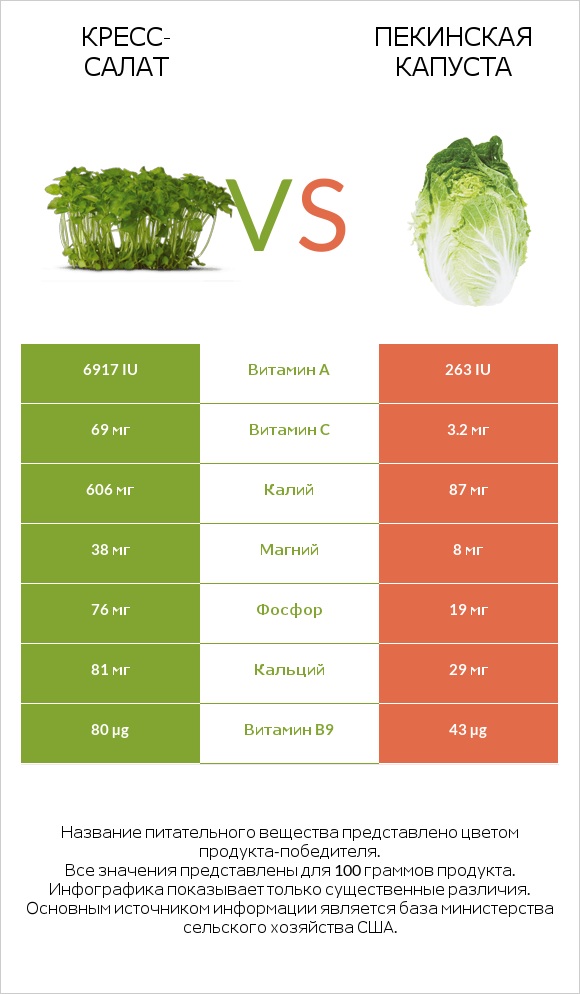 Кресс-салат vs Пекинская капуста infographic