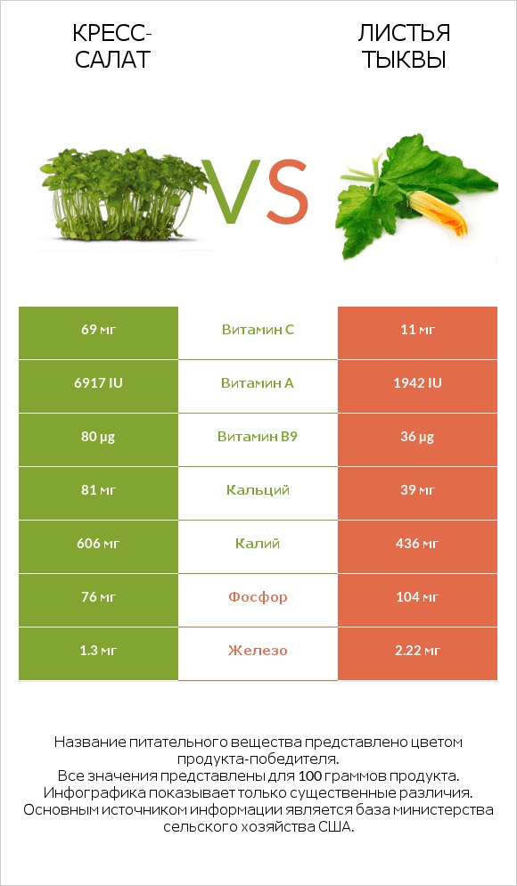 Кресс-салат vs Листья тыквы infographic