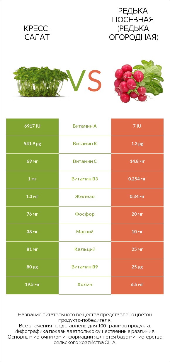 Кресс-салат vs Редька посевная (Редька огородная) infographic