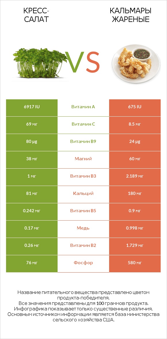 Кресс-салат vs Кальмары жареные infographic