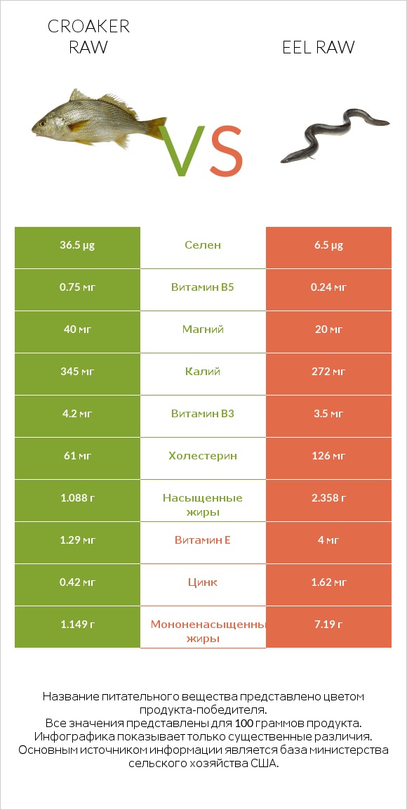 Croaker raw vs Eel raw infographic