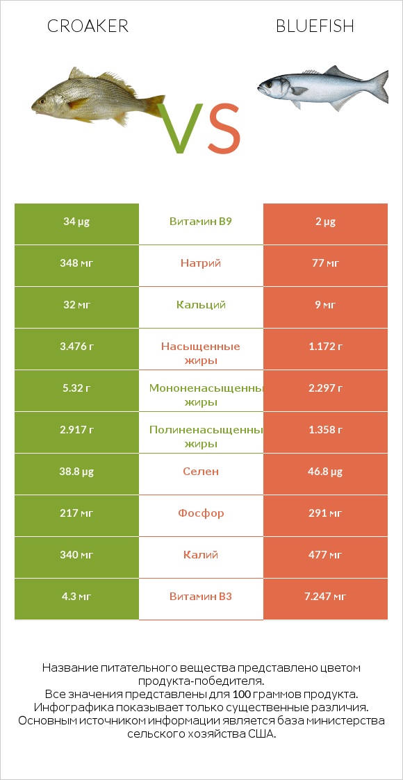 Croaker vs Bluefish infographic