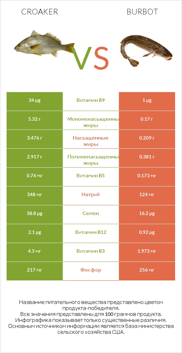 Croaker vs Burbot infographic