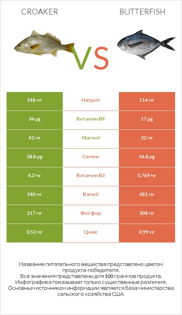 Croaker vs Butterfish infographic