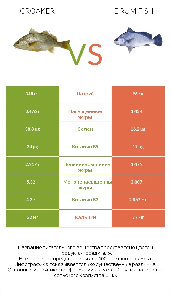 Croaker vs Drum fish infographic