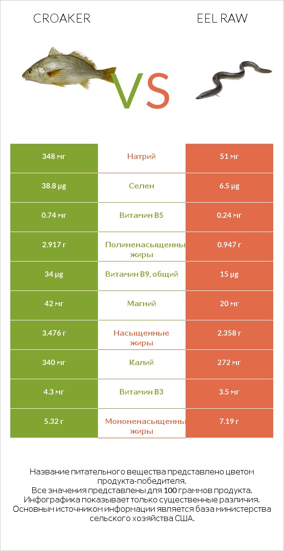 Croaker vs Eel raw infographic