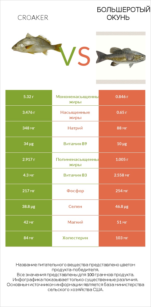 Croaker vs Большеротый окунь infographic