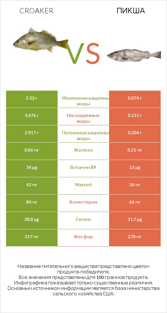 Croaker vs Пикша infographic