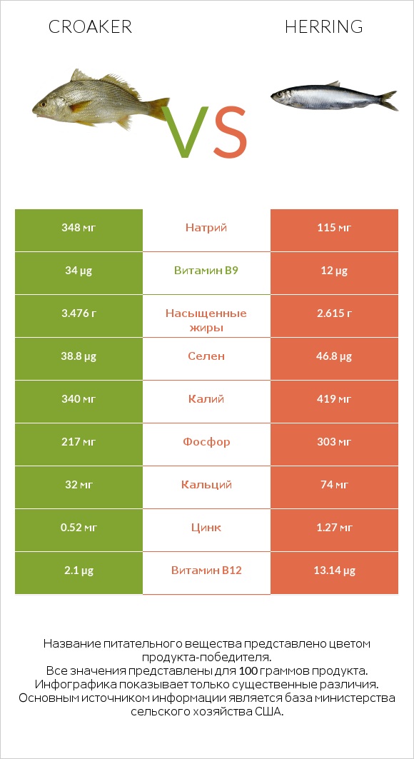 Croaker vs Herring infographic