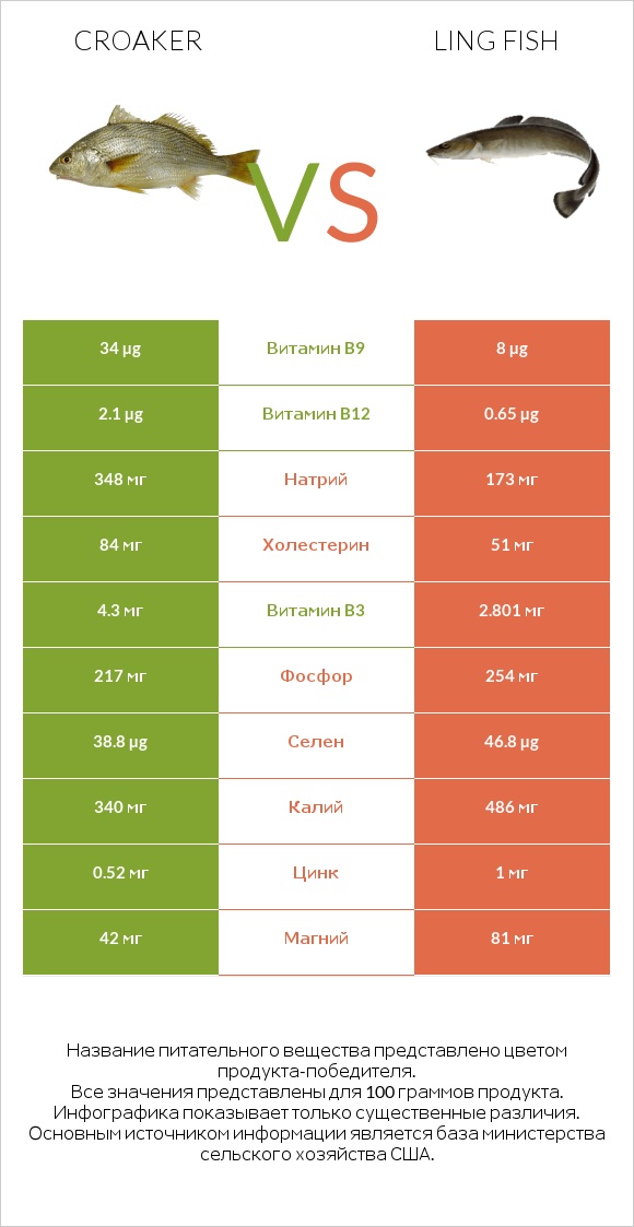 Croaker vs Ling fish infographic