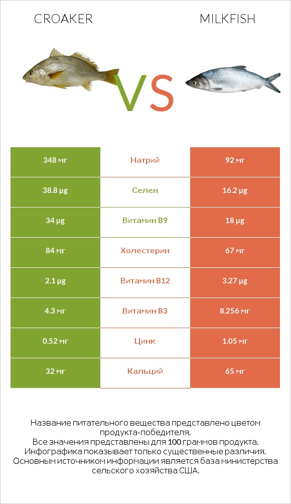 Croaker vs Milkfish infographic