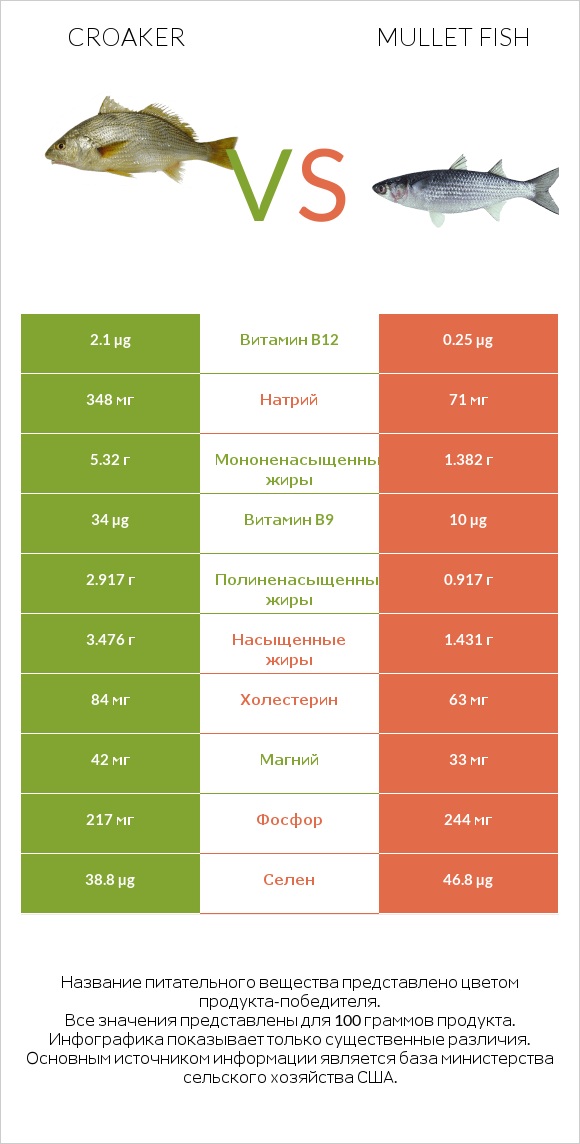 Croaker vs Mullet fish infographic