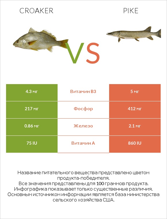 Croaker vs Pike infographic