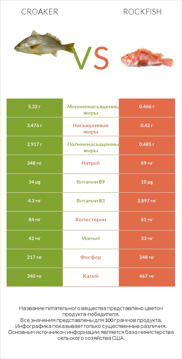 Croaker vs Rockfish infographic