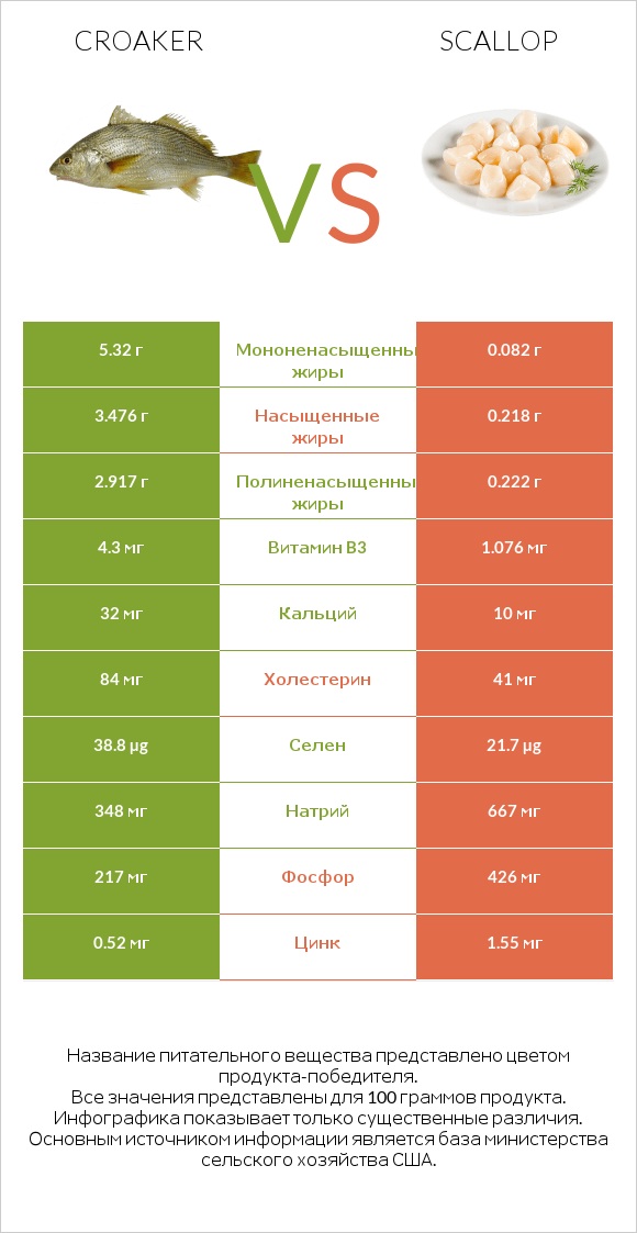 Croaker vs Scallop infographic