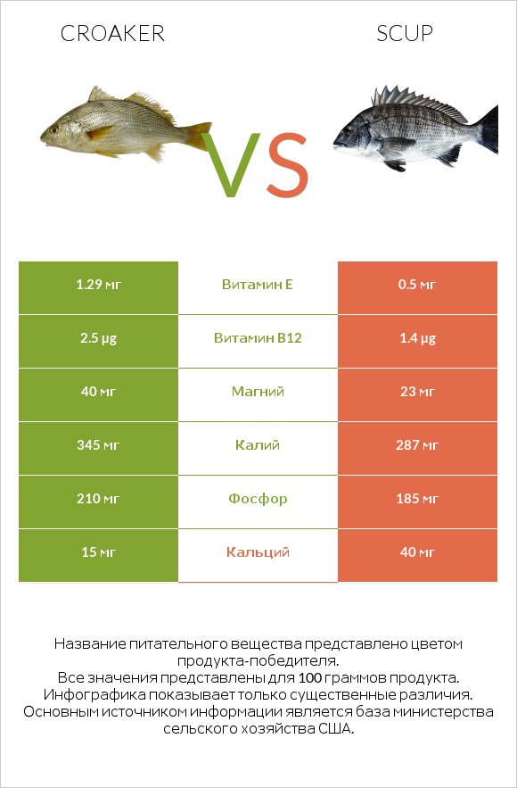 Croaker vs Scup infographic