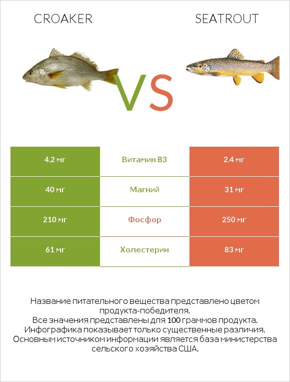 Croaker vs Seatrout infographic