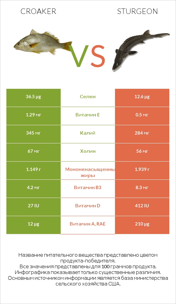 Croaker vs Sturgeon infographic