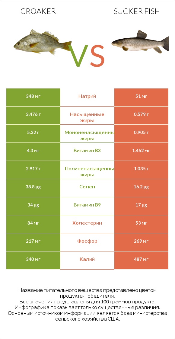 Croaker vs Sucker fish infographic