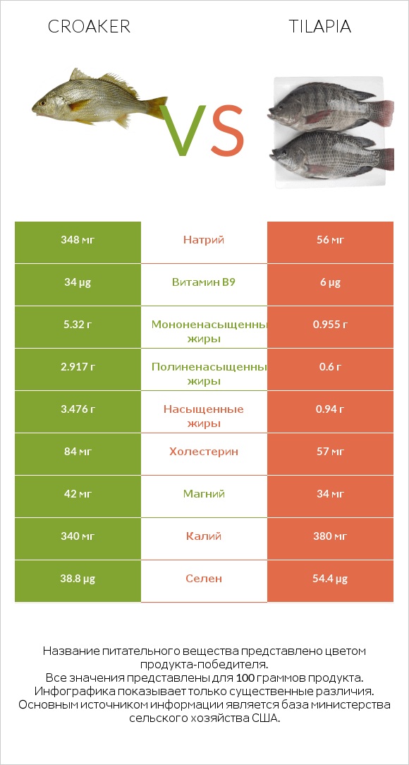 Croaker vs Tilapia infographic