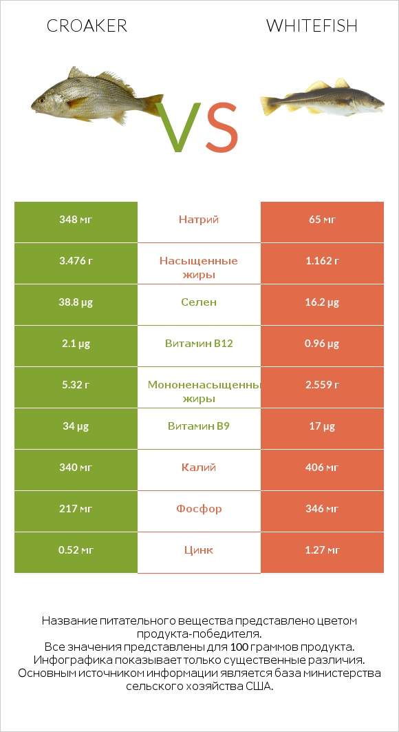 Croaker vs Whitefish infographic