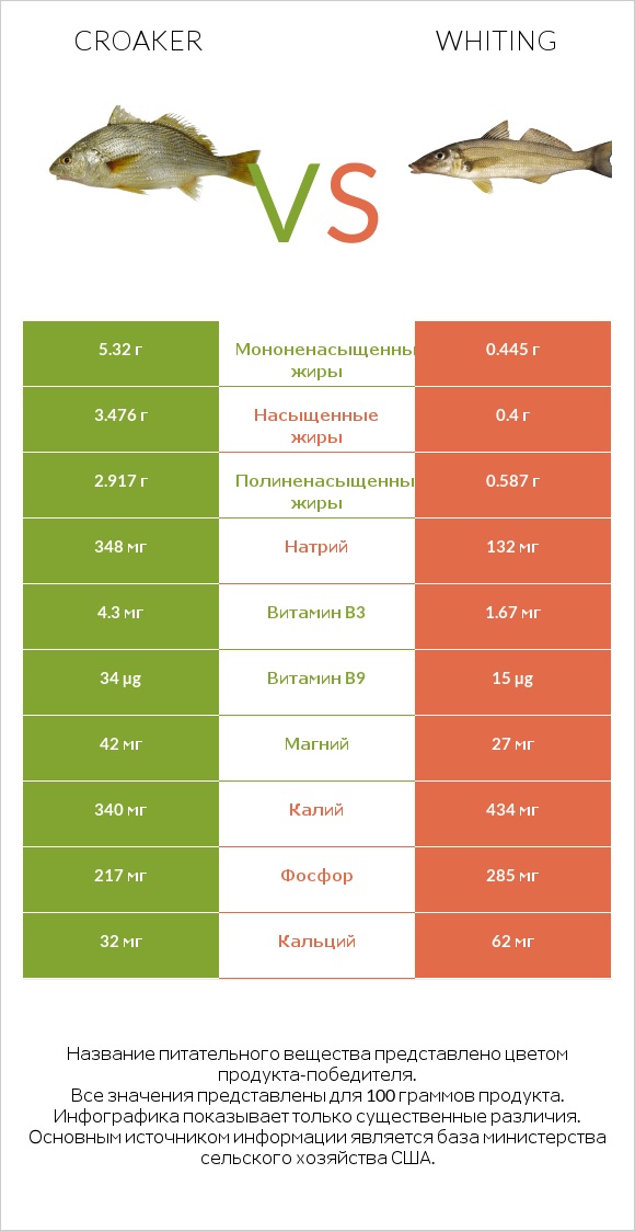 Croaker vs Whiting infographic