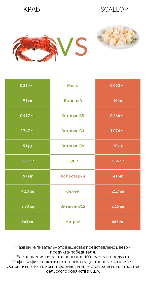 Краб vs Scallop infographic