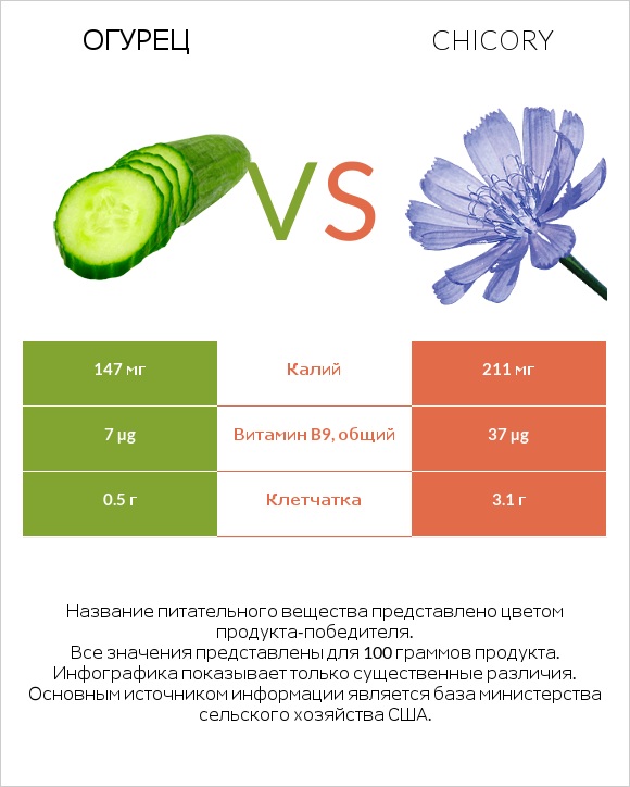 Огурец vs Chicory infographic