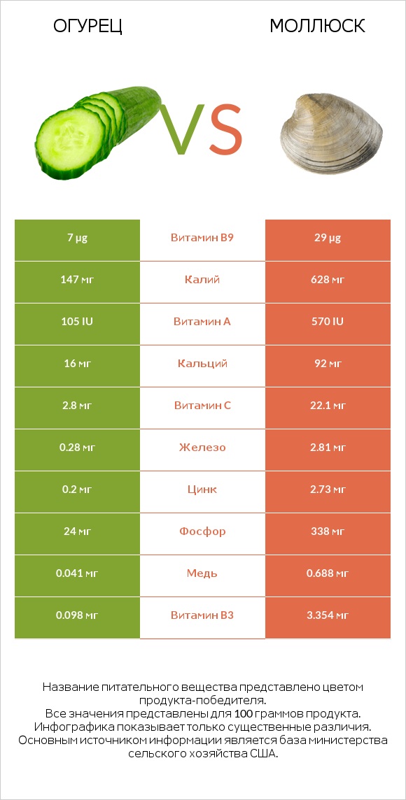 Огурец vs Моллюск infographic