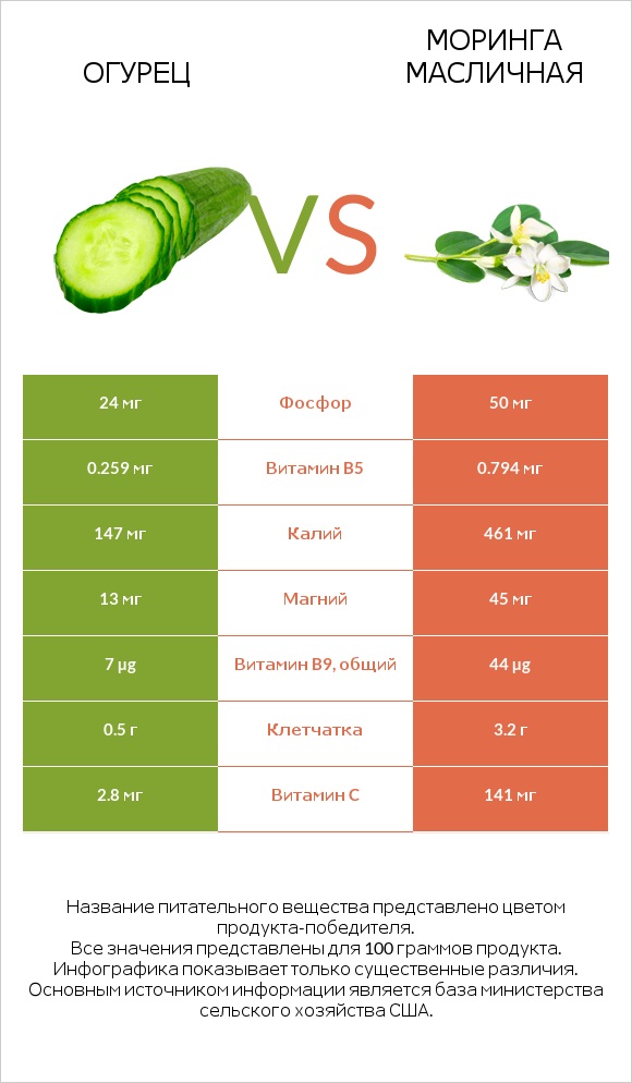 Огурец vs Моринга масличная infographic