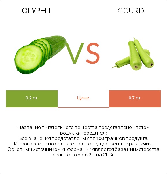 Огурец vs Gourd infographic