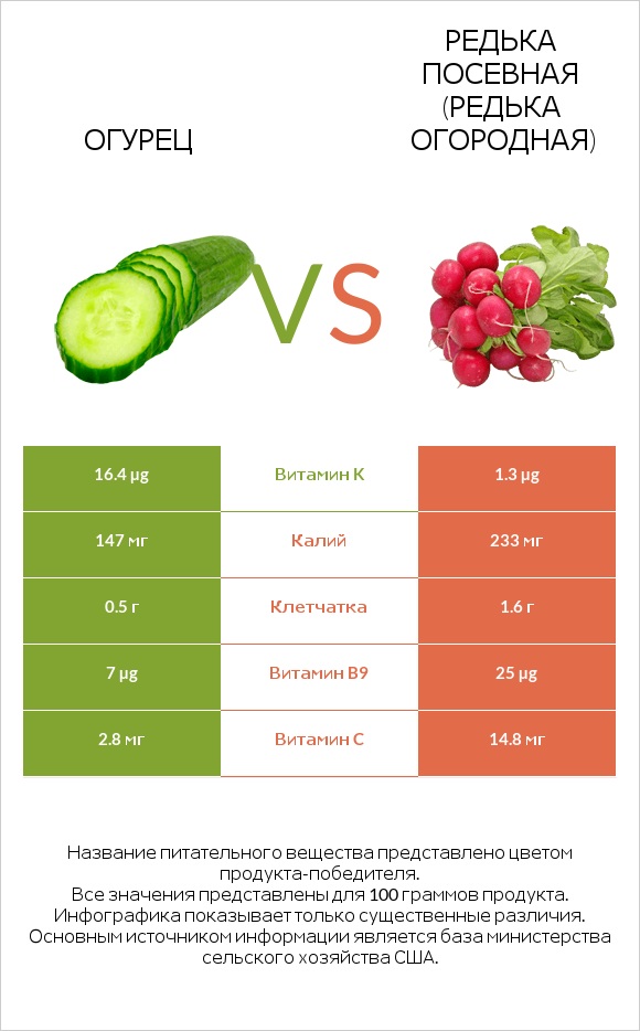 Огурец vs Редька посевная (Редька огородная) infographic