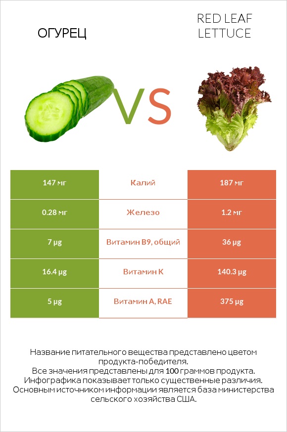 Огурец vs Red leaf lettuce infographic