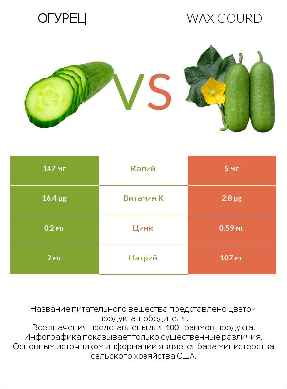 Огурец vs Wax gourd infographic