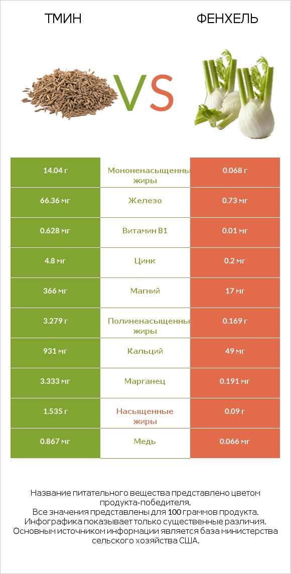 Тмин vs Фенхель infographic