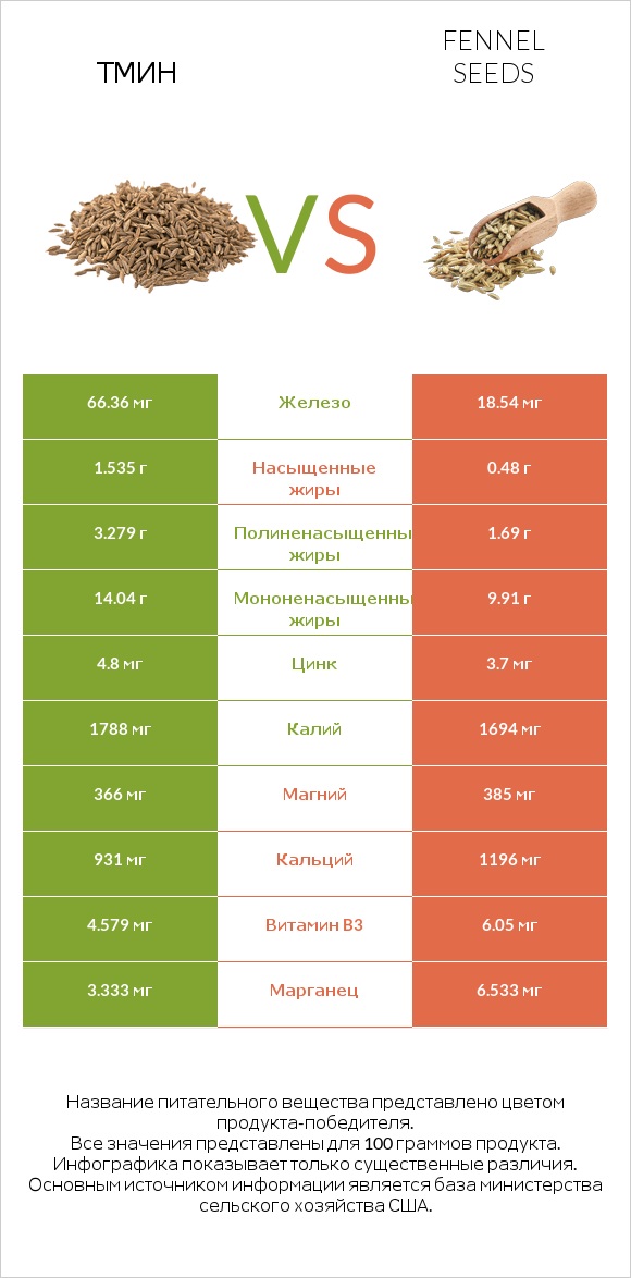Тмин vs Fennel seeds infographic