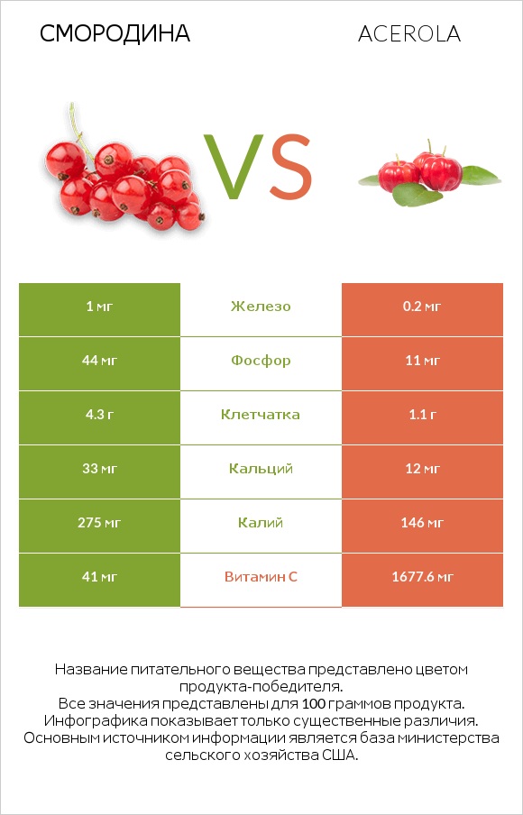 Смородина vs Acerola infographic