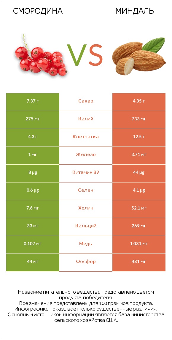 Смородина vs Миндаль infographic