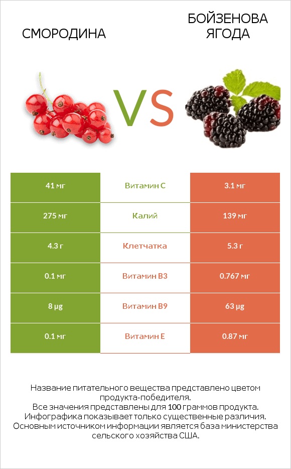 Смородина vs Бойзенова ягода infographic