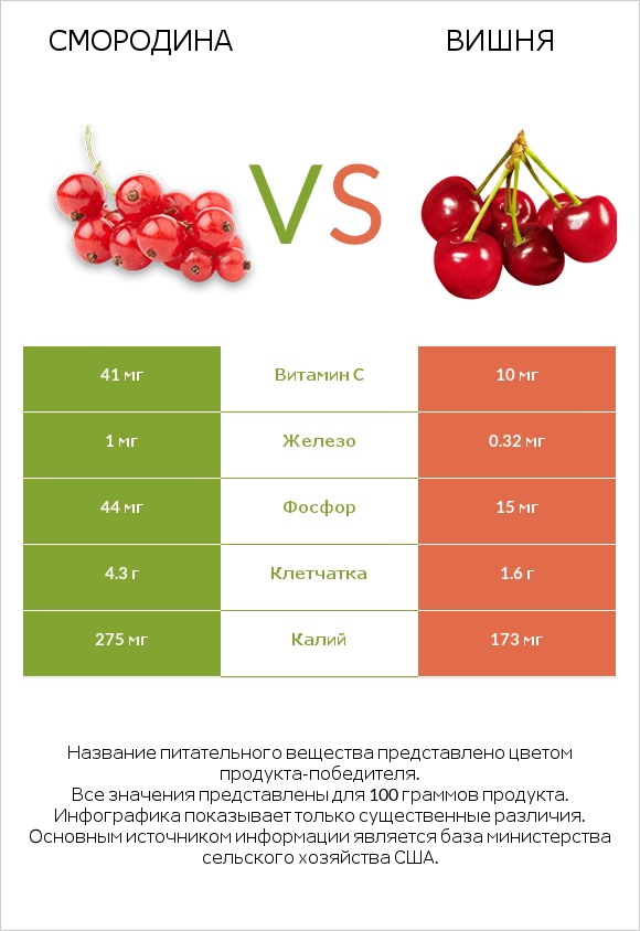 Смородина vs Вишня infographic