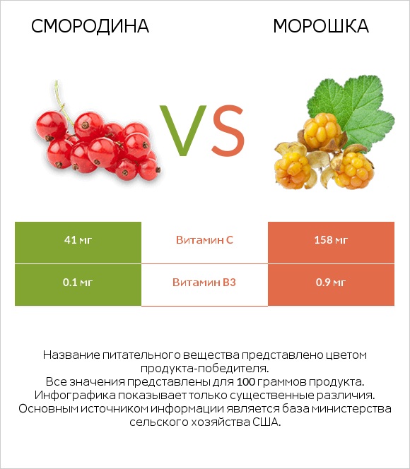 Смородина vs Морошка infographic