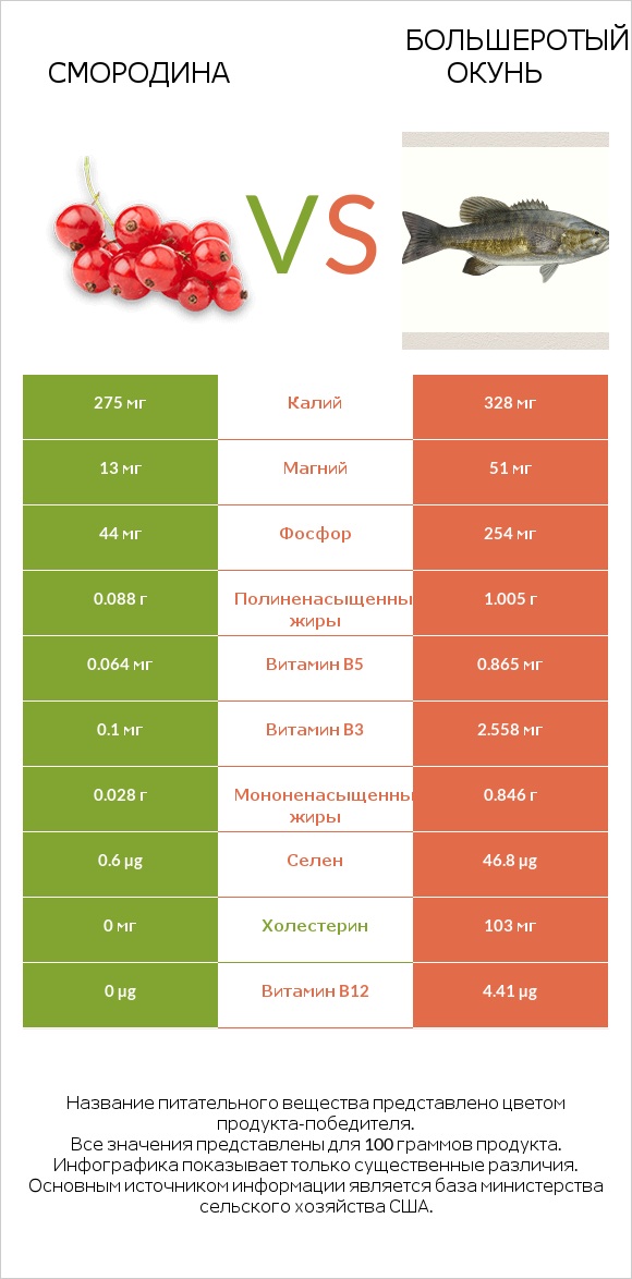 Смородина vs Большеротый окунь infographic