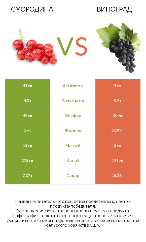 Смородина vs Виноград infographic