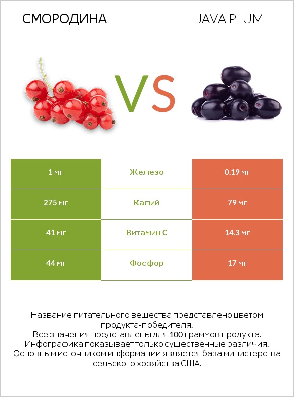 Смородина vs Java plum infographic