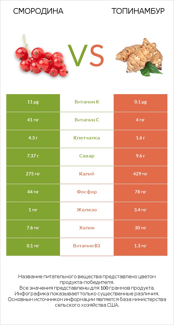 Смородина vs Топинамбур infographic