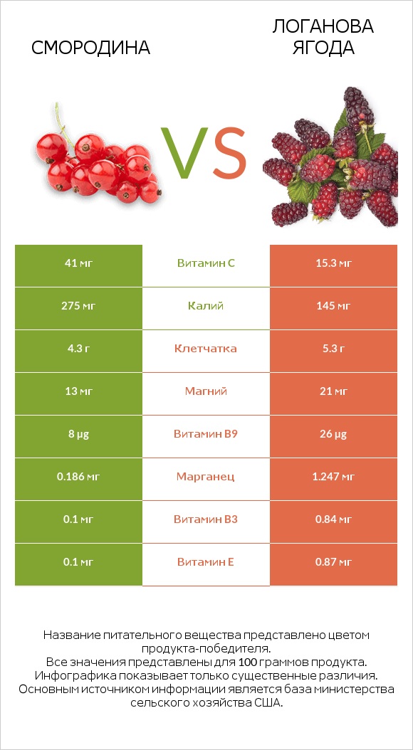 Смородина vs Логанова ягода infographic