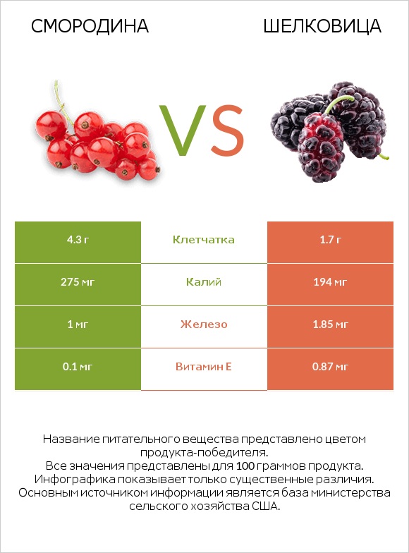 Смородина vs Шелковица infographic