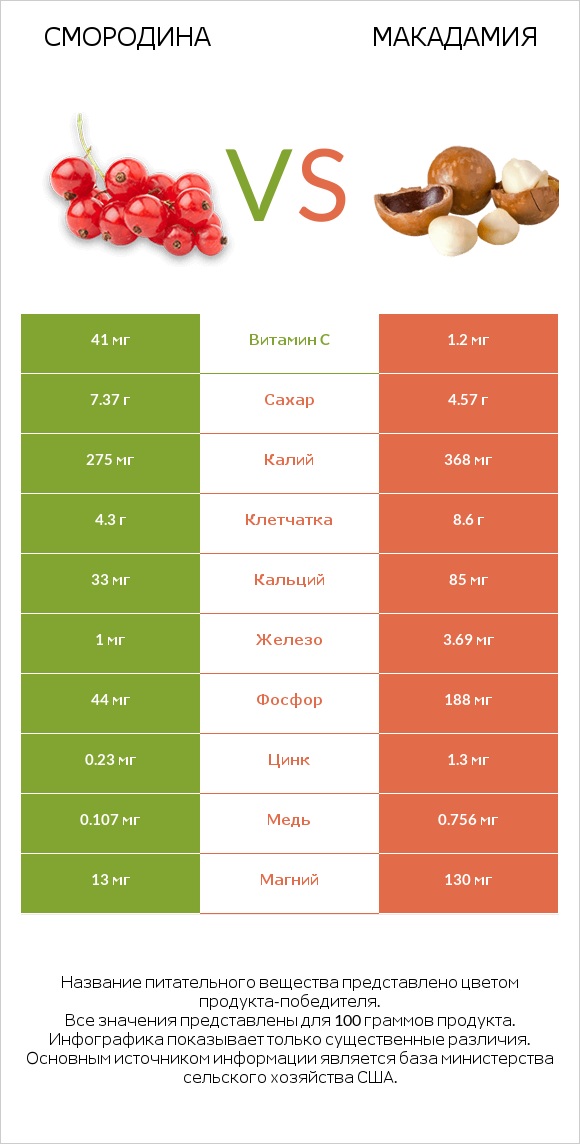 Смородина vs Макадамия infographic